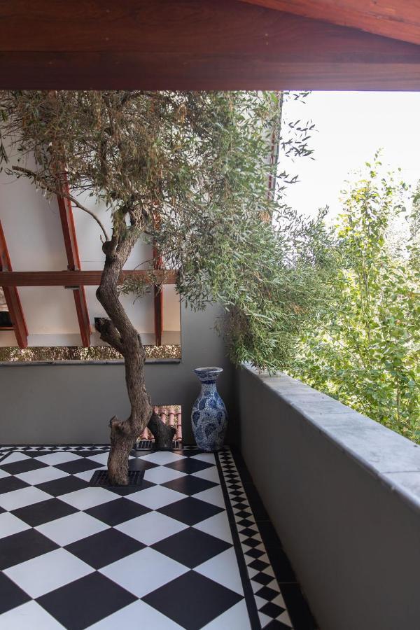 Bella Blue Guesthouse Блумфонтейн Экстерьер фото